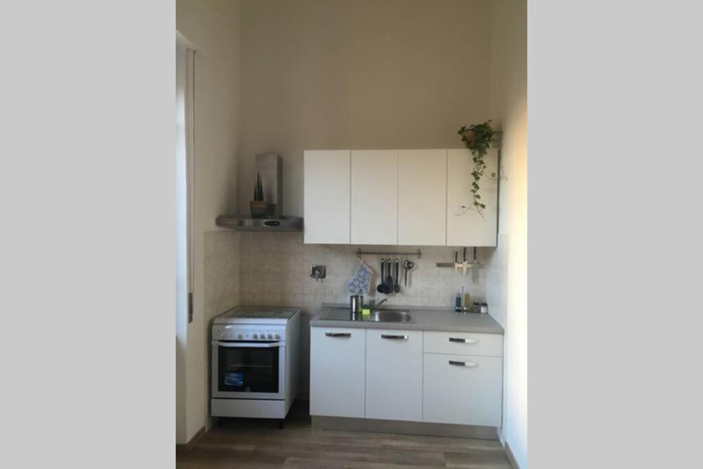 Apartmán Bilocale Sul Mare Marina Di Pisa Exteriér fotografie